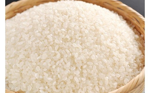 令和7年産　近江米 秋の詩【10kg（5Kg×2袋）】環境こだわり米【AB60W】