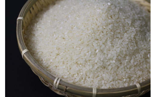 令和7年産　近江米　コシヒカリ【10kg（5kg×2袋）】環境こだわり米【AB62W】