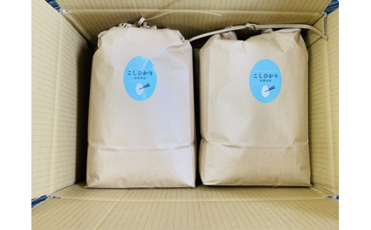 令和7年産　近江米　コシヒカリ【10kg（5kg×2袋）】環境こだわり米【AB62W】