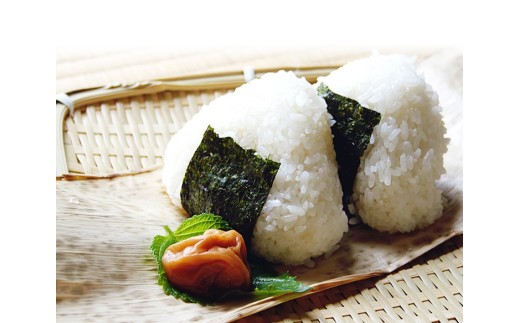 令和7年産　近江米 みずかがみ【10kg（5Kg×2袋）】環境こだわり米【AB61W】