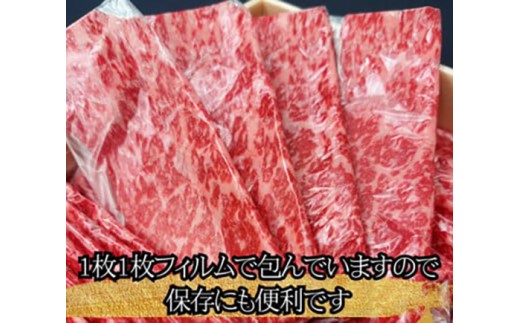 【一週間以内発送】A5等級 未経産雌限定 特撰近江牛肩ロース すきやき 500g【FO14W】