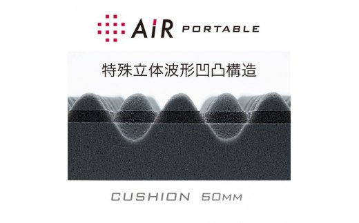 【西川】[エアーポータブル]クッション／スクエア（ブルー）【P219W】