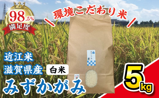 【令和7年産】環境こだわり米「みずかがみ」白米【5kg×1袋】【K124W】
