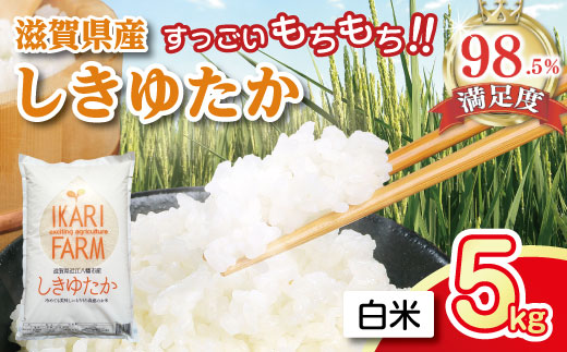 【7年産】すっごいもちもち 「しきゆたか」 白米【5kg】【C002W】