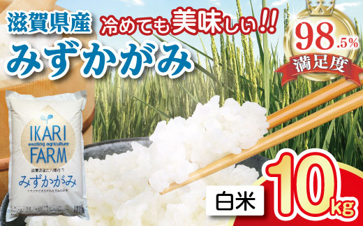 【7年産】冷めても美味しいあっさりとした味わい「みずかがみ」白米【10kg（5kg×2袋）】【C015W】