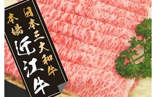 è¿æ±çããããçšã450ïœããN004Wã