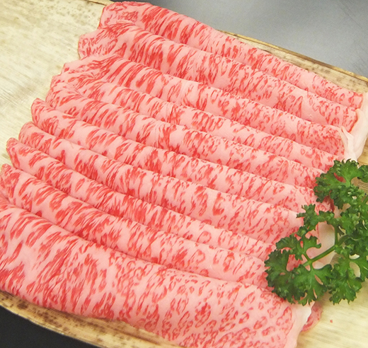 è¿æ±çããããçšã450ïœããN004Wã