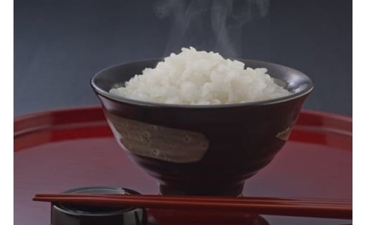 【7年産】近江米にこまる白米5kg【V017W1】