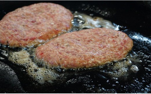 近江牛煮込みハンバーグ　自家製デミグラスソース　【1200g（200ｇ×6個）】【DI01W】