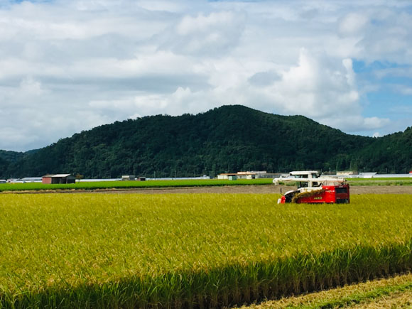 ã7幎ç£ãè¿æ±ç±³ããã«ããŒã¯ã£ãŒã³ãçœç±³ã20kgïŒ10kgÃ2è¢ïŒããV015Wã