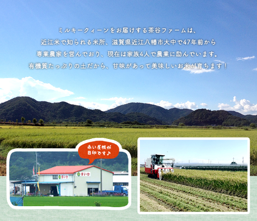 【7年産】近江米にこまる白米5kg【V017W1】