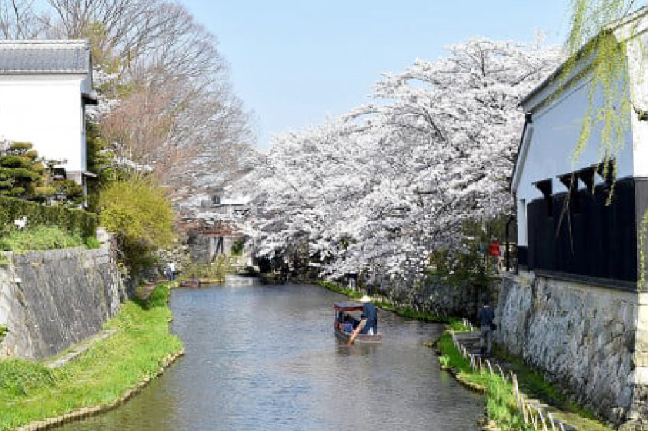 市政全般に活用（市長が特に必要と認める事業）