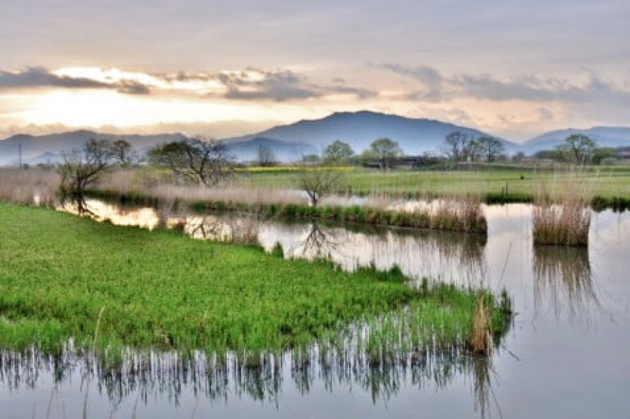 自然環境及び地域の歴史的遺産の保全
