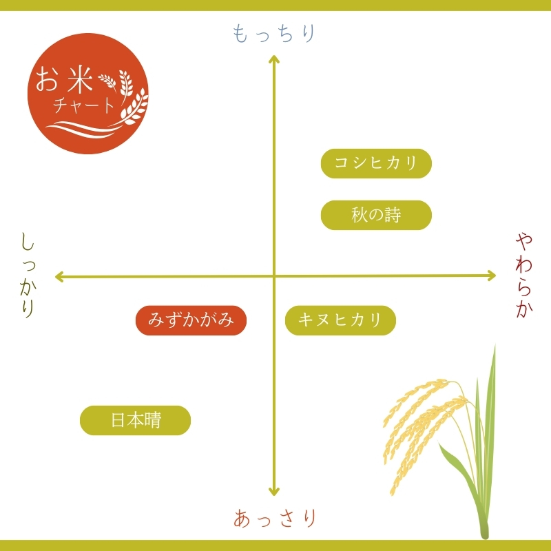 栗東産米　みずかがみ　5キロ　米 お米 こめ コメ 白米 精米 近江米 　ご飯 ごはん ゴハン おにぎり お弁当 5kg 滋賀県 栗東市