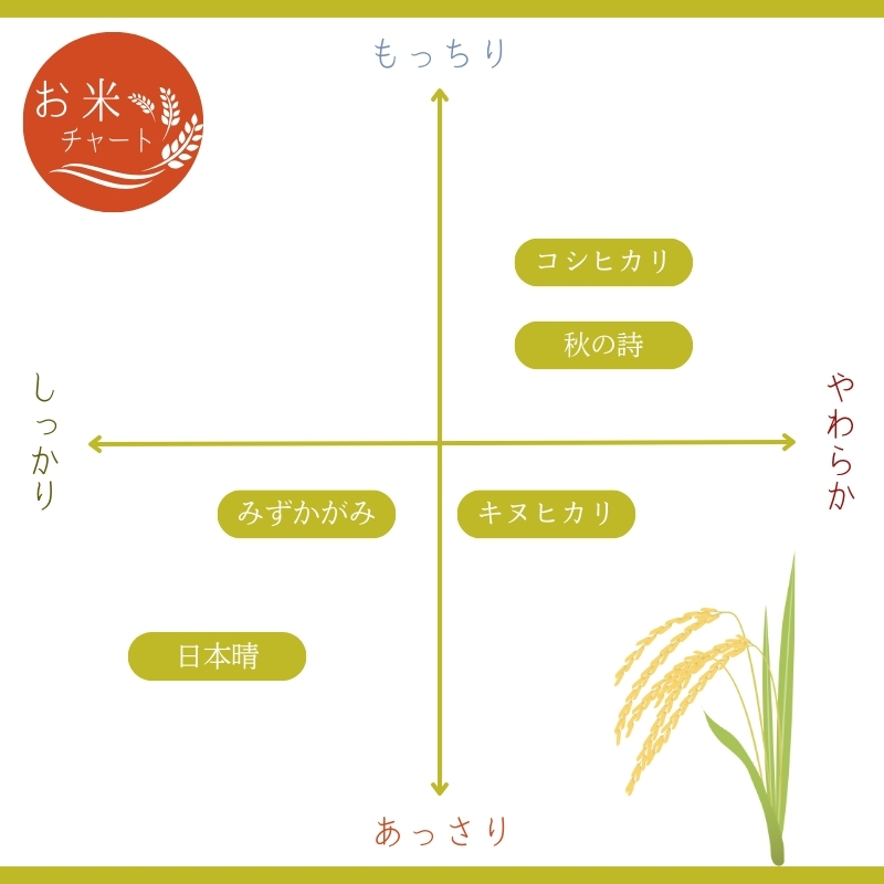 2ヶ月定期便　栗東産米おいしさ食べくらべ便　 各品種5キロを2品種づつ×2回　計4種品|米 お米 こめ コメ 白米 精米 近江米 栗東産米 ご飯 ごはん ゴハン 食べくらべ 食べ比べ 5kg 10kg 2ヶ月 定期便 滋賀県 栗東市