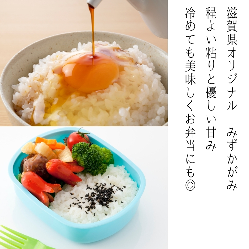 2ヶ月定期便　栗東産米おいしさ食べくらべ便　 各品種5キロを2品種づつ×2回　計4種品|米 お米 こめ コメ 白米 精米 近江米 栗東産米 ご飯 ごはん ゴハン 食べくらべ 食べ比べ 5kg 10kg 2ヶ月 定期便 滋賀県 栗東市