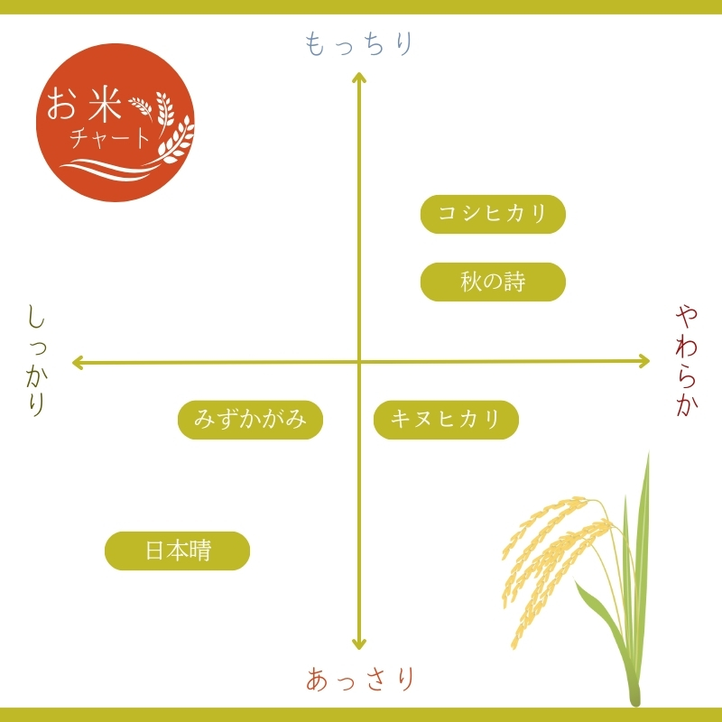 2ヶ月定期便　栗東産米おいしさ食べくらべ便　 各品種10キロを2品種づつ×2回　計4種品|米 お米 こめ コメ 白米 精米 近江米 栗東産米 ご飯 ごはん ゴハン 食べくらべ 食べ比べ  10kg 20kg  2ヶ月 定期便 滋賀県 栗東市