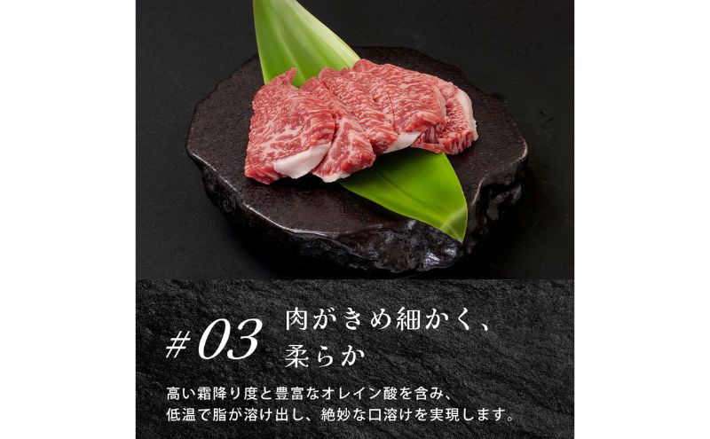 近江牛ヒレステーキ800g / 栗東市 日本三大和牛 国産 肉 和牛 牛肉