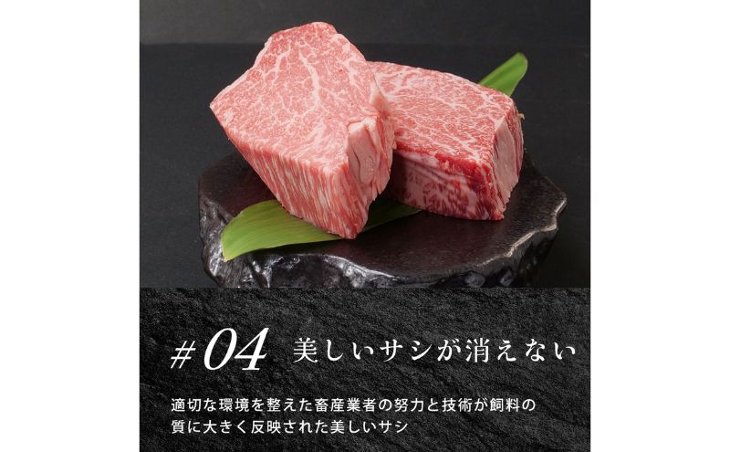 近江牛ヒレステーキ800g / 栗東市 日本三大和牛 国産 肉 和牛 牛肉