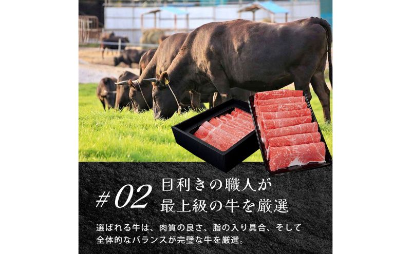 近江牛バラ、モモ、ロース各100g×6種セット / 栗東市 日本三大和牛 国産 肉 和牛 牛肉