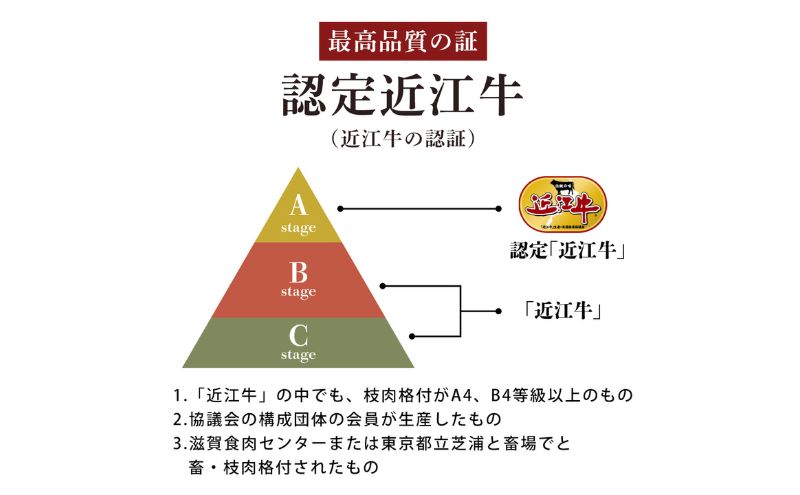 近江牛バラ、モモ、ロース各100g×6種セット / 栗東市 日本三大和牛 国産 肉 和牛 牛肉