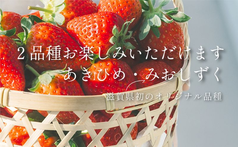 【1棟貸切いちご狩り・5名様までO K】いちご狩り体験(2kg相当）・スイーツ作り放題・滋賀こだわりドリンク（フリードリンク）など特典満載のSYMBIOSIS FARM（シンビオシスファーム）無料招待券