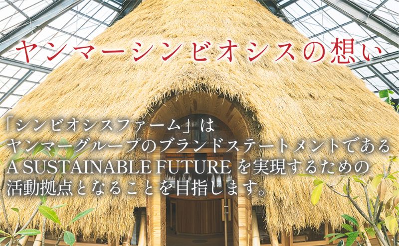 【1棟貸切いちご狩り・5名様までO K】いちご狩り体験(2kg相当）・スイーツ作り放題・滋賀こだわりドリンク（フリードリンク）など特典満載のSYMBIOSIS FARM（シンビオシスファーム）無料招待券