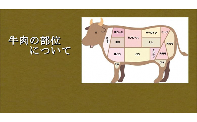 厳選近江牛ブロック肉　900g