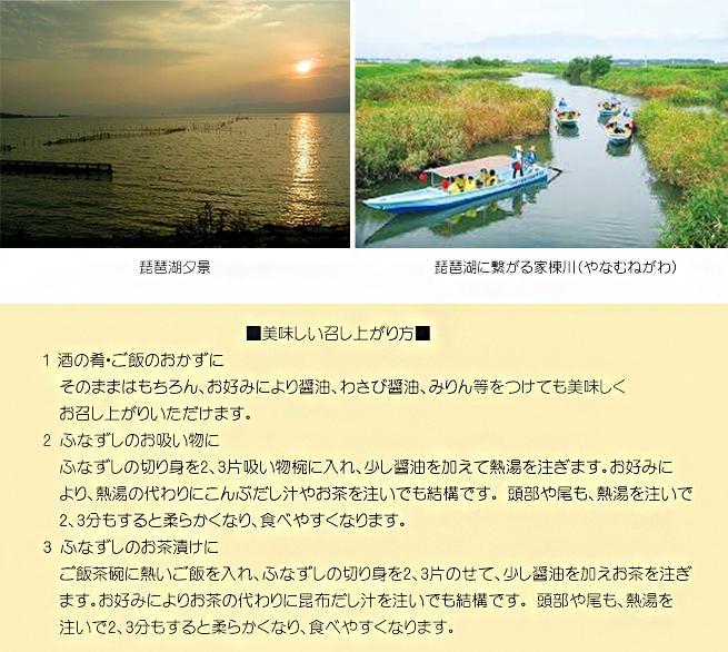 近江名産「鮒寿司」ふなずし 漁師直漬け　2本入り｜野洲市 伝統製法 発酵食品 滋賀県 特産品 寿司 漁師の手作り 風味豊かな 魚介 日本食 和食 発酵食品 地元食材 お取り寄せ 通販 ふるさと納税｜