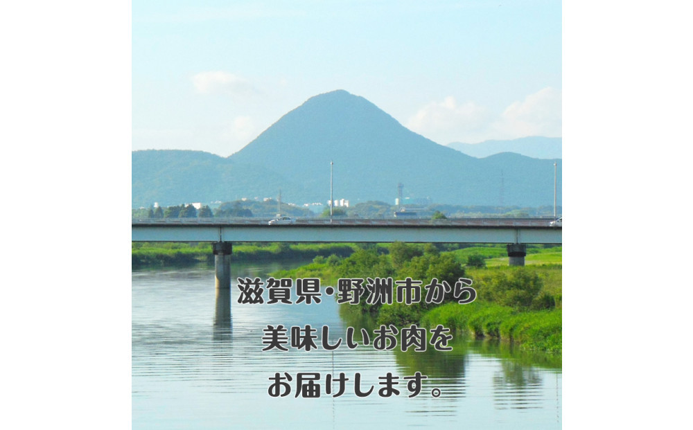 近江牛 贅沢セット 計1.4kg（ロース焼肉用700ｇ・赤身すき焼き用700ｇ） 牛長商会 みんなのお肉本舗｜滋賀県野洲市 お取り寄せグルメ ご当地 ご当地グルメ 肉 お肉 にく 牛 牛肉 ビーフ 近江牛 和牛 ロース 焼肉 赤身 すき焼き｜