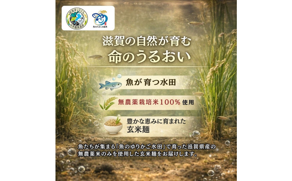無農薬・グルテンフリー 滋賀県野洲市産 玄米麺 7食セット 100g×7袋