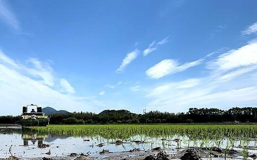 縲蝉サ、蜥7蟷エ逕」譁ー邀ウ縲台クュ驕楢セイ蝨 閾ェ辟カ譬ス蝓ケ 繧ウ繧キ繝偵き繝ェ 蟶 邇邀ウ 5kg 閧・譁吩ク堺スソ逕ィ縲∬ェ辟カ縺ョ蜉帙□縺代〒譬ス蝓ケシ∬セイ阮ャ繝サ蛹門ュヲ閧・譁吩ク堺スソ逕ィス廱AS隱崎ィシ 繧ェ繝シ繧ャ繝九ャ繧ッス懃悄遨コ蛹陬 髦イ轣ス蛯呵塘蟇セ蠢懶ス懊オ繧九&縺ィ邏咲ィ 貊玖ウ逵碁取エイ蟶