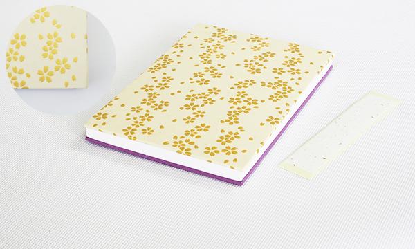 御朱印帳「MIYAKO」（淡色）よりどり2冊セット｜野洲市 伝統工芸 日本製 手作り 御朱印帳 和紙製 高品質 手触り 上質 紙製品 神社仏閣巡り 記念品 ギフト｜