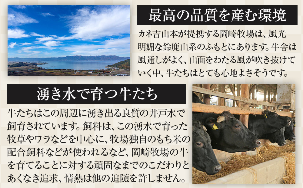 【カネ吉山本】近江牛　A4等級以上　しゃぶしゃぶ用　[リブロース]　（600ｇ）｜野洲市 近江牛 A4等級以上　しゃぶしゃぶ用 滋賀県産 ギフト お取り寄せ 通販 お肉 贈り物 ふるさと納税｜