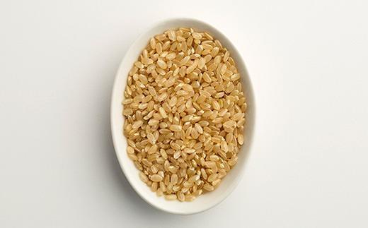 縲蝉サ、蜥7蟷エ逕」譁ー邀ウ縲台クュ驕楢セイ蝨 閾ェ辟カ譬ス蝓ケ 繧ウ繧キ繝偵き繝ェ 蟶 邇邀ウ 5kg 閧・譁吩ク堺スソ逕ィ縲∬ェ辟カ縺ョ蜉帙□縺代〒譬ス蝓ケシ∬セイ阮ャ繝サ蛹門ュヲ閧・譁吩ク堺スソ逕ィス廱AS隱崎ィシ 繧ェ繝シ繧ャ繝九ャ繧ッス懃悄遨コ蛹陬 髦イ轣ス蛯呵塘蟇セ蠢懶ス懊オ繧九&縺ィ邏咲ィ 貊玖ウ逵碁取エイ蟶