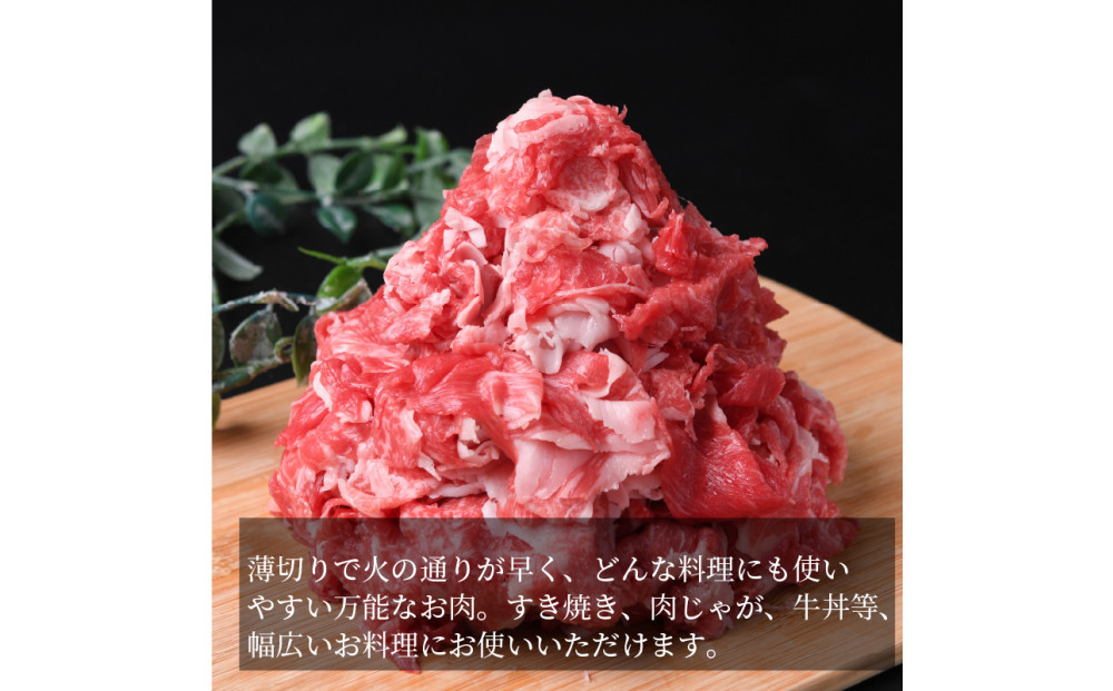 近江牛 切り落とし 1kg すき焼き・煮物 牛長商会 みんなのお肉本舗｜滋賀県野洲市 お取り寄せグルメ ご当地 ご当地グルメ 肉 お肉 にく 牛 牛肉 ビーフ 近江牛 和牛 切り落とし すき焼き 煮物｜〇