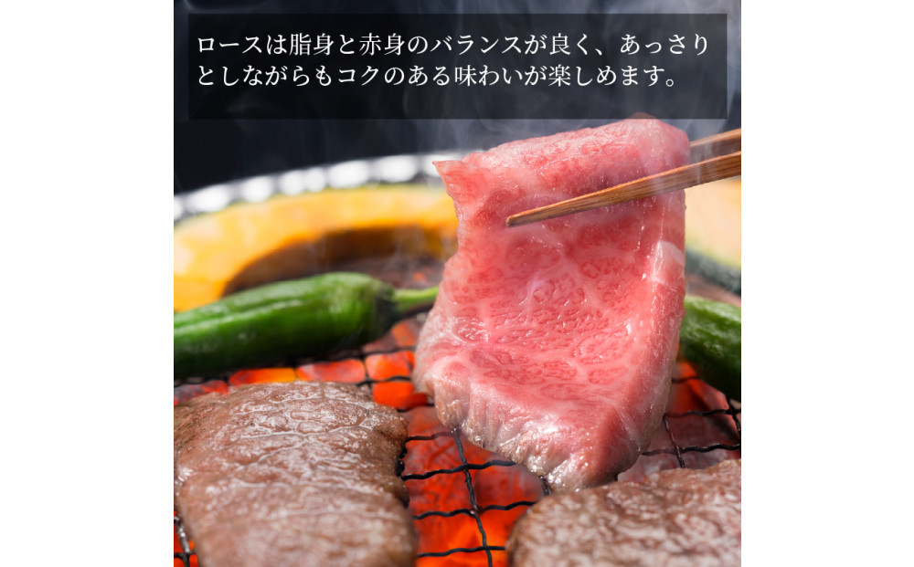 è¿æ±ç ããŒã¹çŒèã»è¿æ±ç å³ä»ããã«ã¢ã³2çš®ã»ãã çé·åäŒ ã¿ããªã®ãèæ¬èïœæ»è³çéæŽ²åž ãåãå¯ãã°ã«ã¡ ãåœå° ãåœå°ã°ã«ã¡ è ãè ã«ã ç çè ããŒã è¿æ±ç åç ããŒã¹ çŒè ãã«ã¢ã³ ã»ããïœ