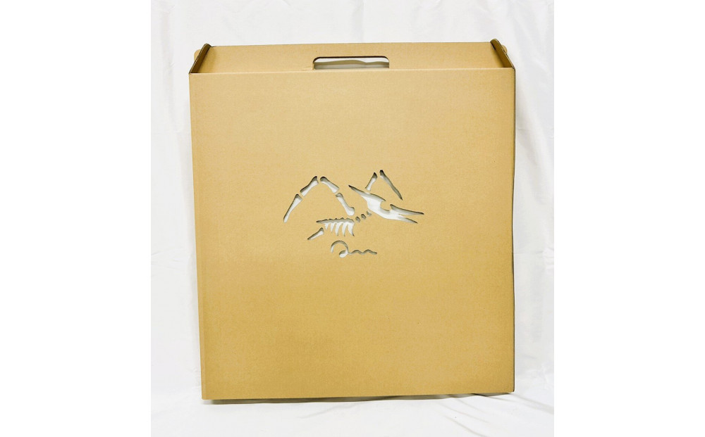 【Qumu】大型ダンボール骨格標本キット　プテラノドン