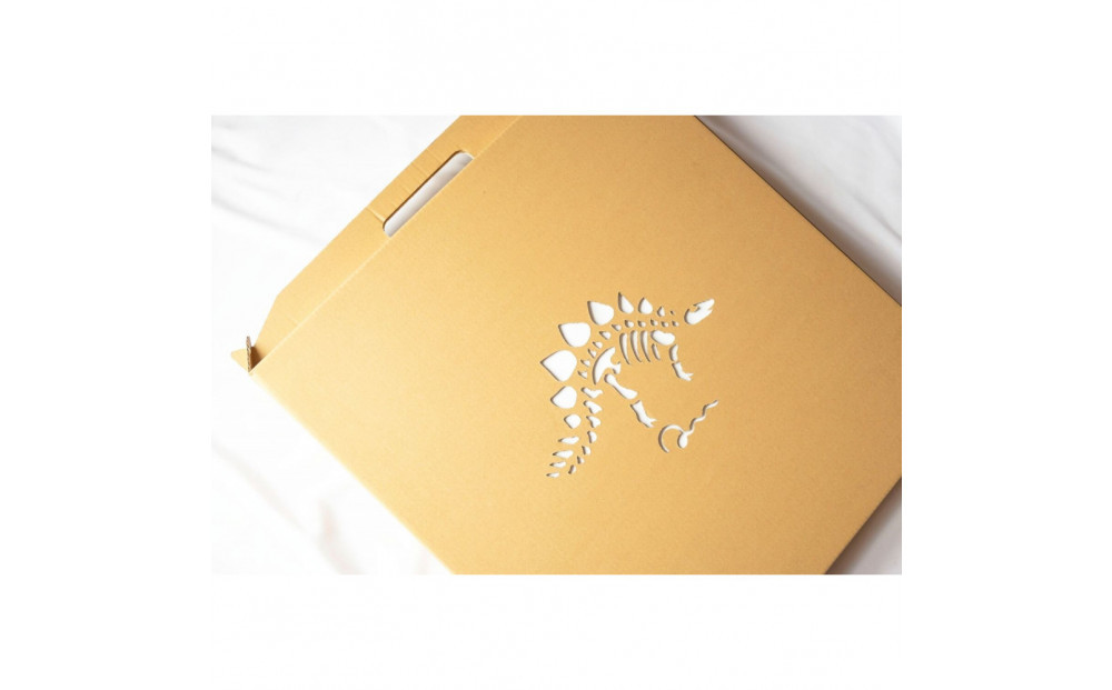 【Qumu】大型ダンボール骨格標本キット　ステゴサウルス