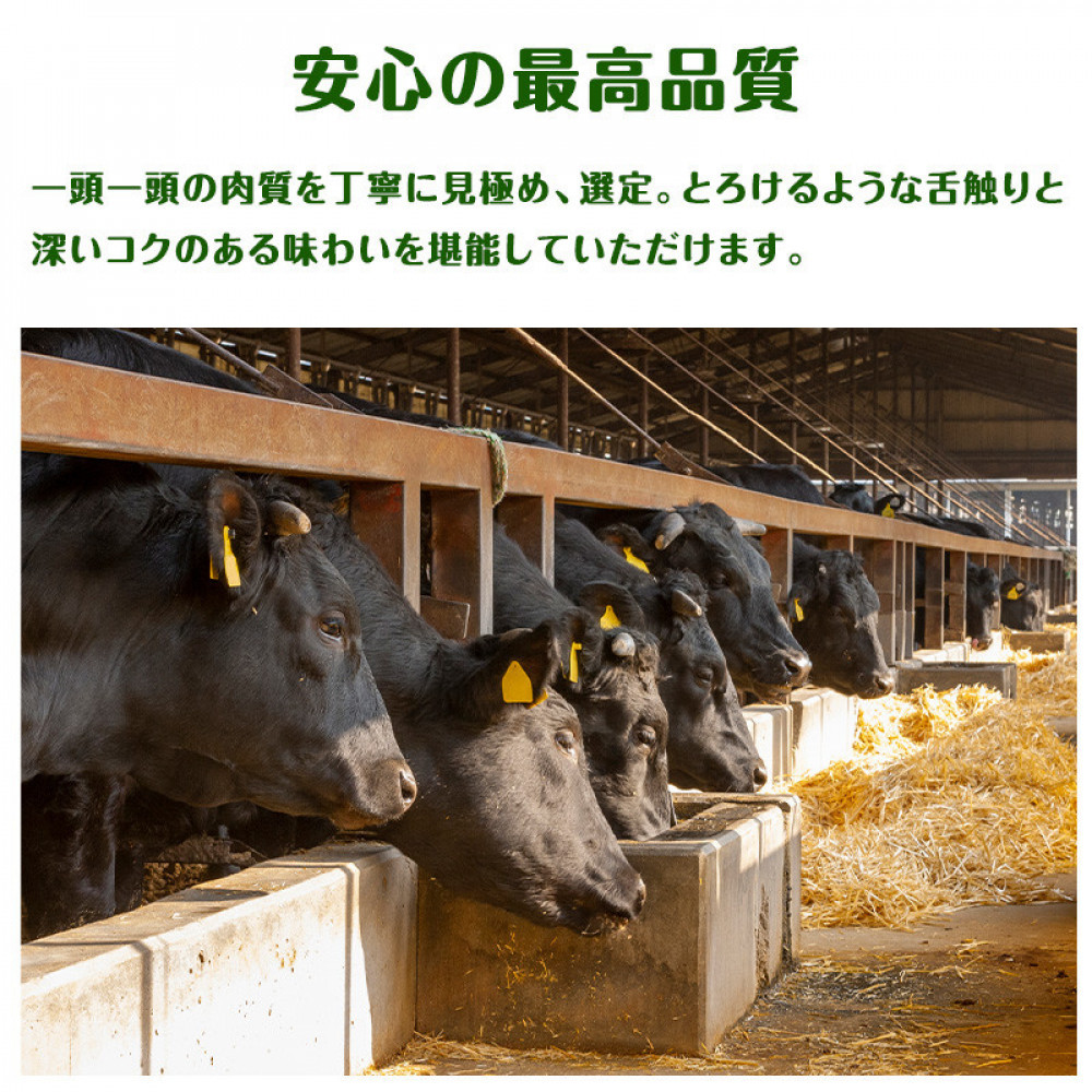 近江牛 ホルモン(200ｇ×5個)　1kg｜滋賀県野洲市 お取り寄せ グルメ ご当地 肉 お肉 にく 牛 牛肉 ビーフ 近江牛 和牛  ホルモン｜