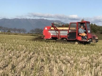 【令和7年産新米】中道農園 自然栽培 朝日 希 玄米 10kg 肥料不使用、自然の力だけで栽培！農薬・化学肥料不使用｜JAS認証 オーガニック｜真空包装 防災備蓄対応｜ふるさと納税 滋賀県野洲市