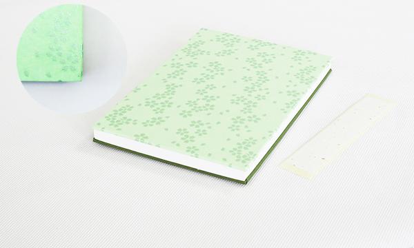 御朱印帳「MIYAKO」（淡色）よりどり2冊セット｜野洲市 伝統工芸 日本製 手作り 御朱印帳 和紙製 高品質 手触り 上質 紙製品 神社仏閣巡り 記念品 ギフト｜