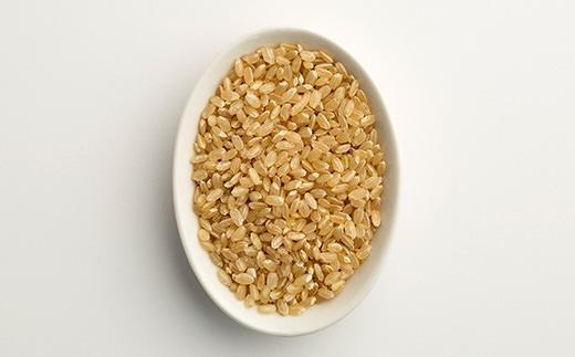 【令和7年産新米】中道農園  JAS認証 自然栽培 コシヒカリ 極 玄米 5kg 中道農園の最高級玄米！10年以上、肥料を使わず自然の力で栽培｜無農薬・無肥料栽培｜真空包装 防災備蓄対応｜ふるさと納税 滋賀県野洲市