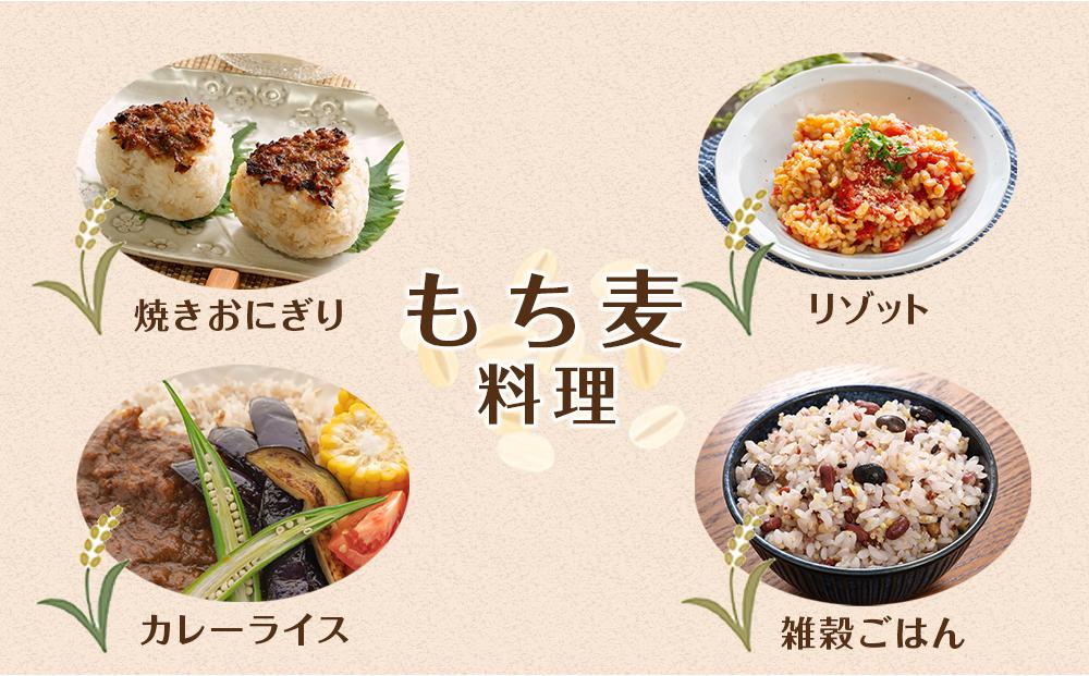 近江のもち麦１kg３袋｜野洲市 もち麦 滋賀産 健康食材 ダイエット ビタミン ミネラル 便秘解消 腸内環境 美容 健康志向 料理 レシピ お取り寄せ 通販 ふるさと納税 ｜