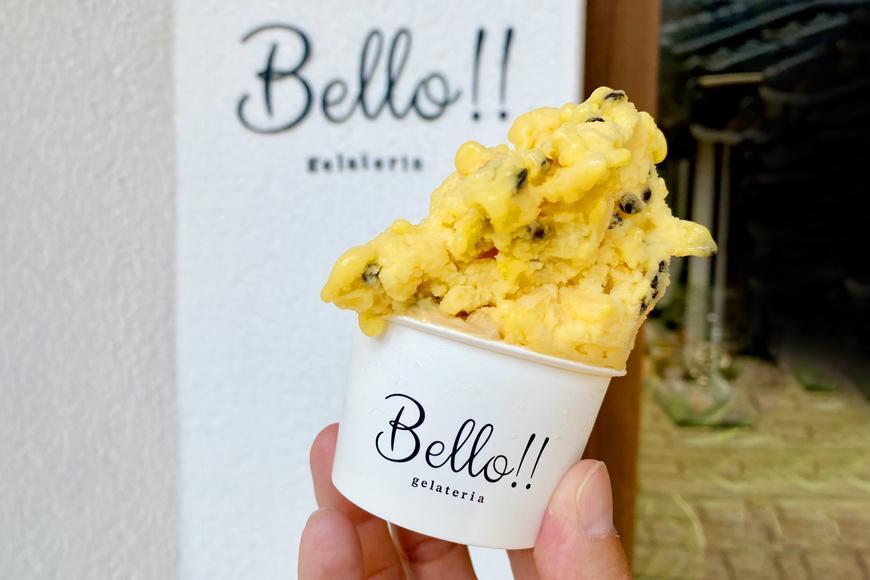 【無添加・無着色】手作り ジェラート プレミアムアソート A｜野洲市 手作りジェラート 無添加 無着色 自然素材 滋賀県産 スイーツ デザート 冷凍 お取り寄せ 通販 ふるさと納税｜