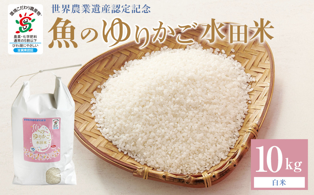 米 きらみずき 魚のゆりかご水田米 滋賀県産 10kg