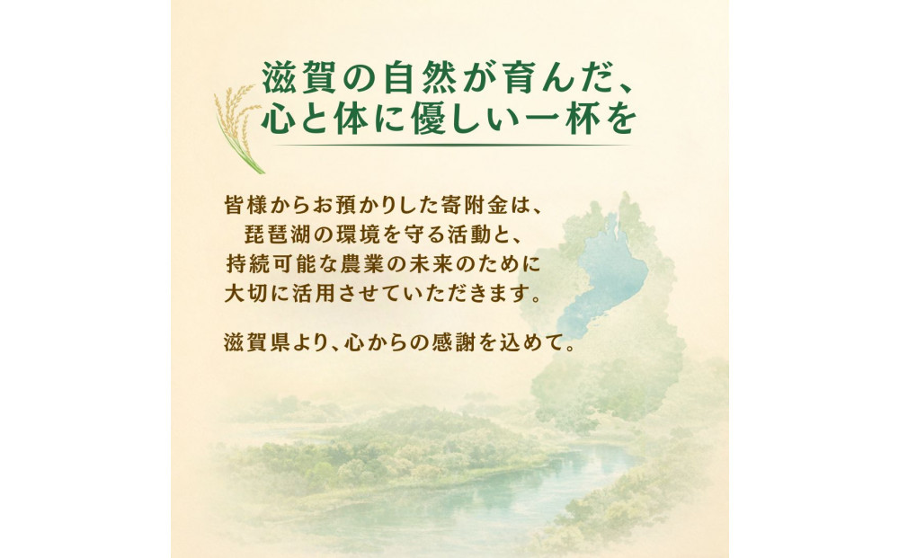 無農薬・グルテンフリー 滋賀県野洲市産 玄米麺 7食セット 100g×7袋