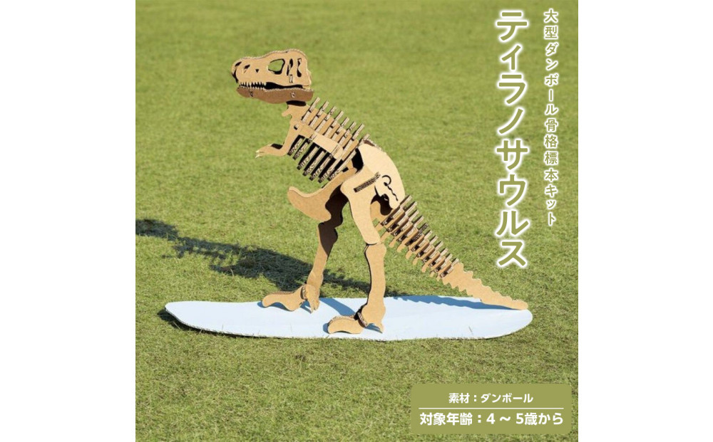 【Qumu】大型ダンボール骨格標本キット　ティラノサウルス