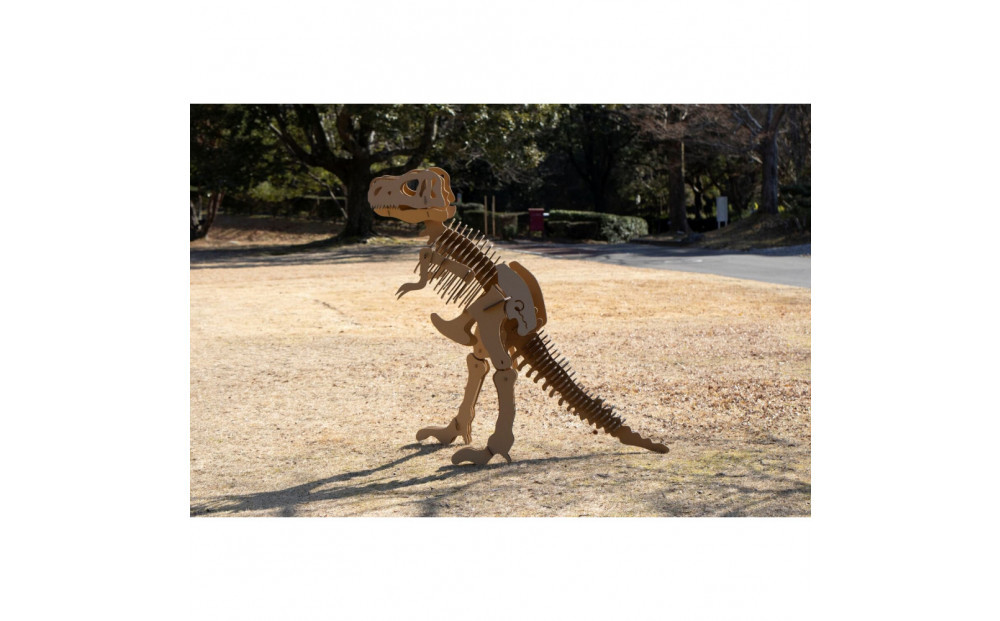 【Qumu】大型ダンボール骨格標本キット　メガティラノサウルス