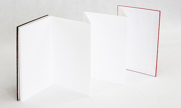 御朱印帳「MIYAKO」（濃色）よりどり2冊セット｜野洲市 伝統工芸 日本製 手作り 御朱印帳 和紙製 高品質 手触り 上質 紙製品 神社仏閣巡り 記念品 ギフト｜